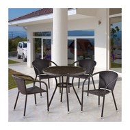        T282ANT/Y137C-W53 Brown 4Pcs
