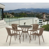     . T282ANT-Y137C-W56 Light Brown 4Pcs
