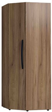   Nature 156 (  craft)