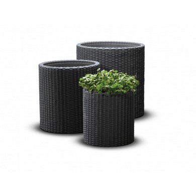�������� ����� 3 �� CYLINDER PLANTERS (������)