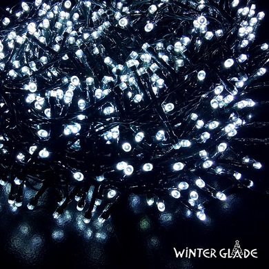   Winter Glade 1000 ,   