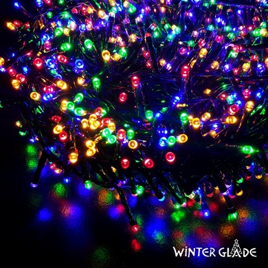   Winter Glade 1000 , 