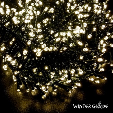   Winter Glade 1000 ,   