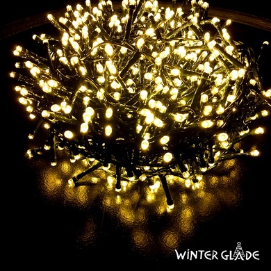   Winter Glade 1000 ,  