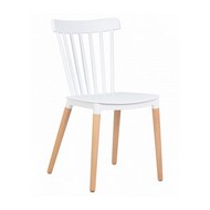 ���� ��������� THEO (����� ������� ���, ���� ����� (W-02))