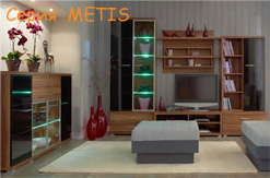  Metis