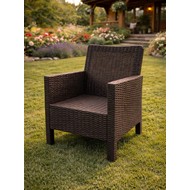 ������ ������� ��� ������ ����� (�����-����������)