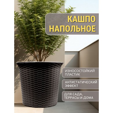 ����� ������� ��� ������ 50� ����� (�����-����������)